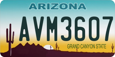 AZ license plate AVM3607