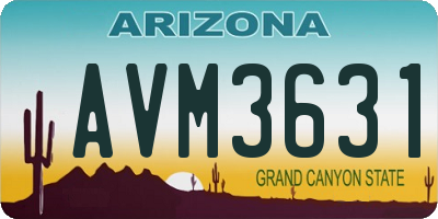 AZ license plate AVM3631