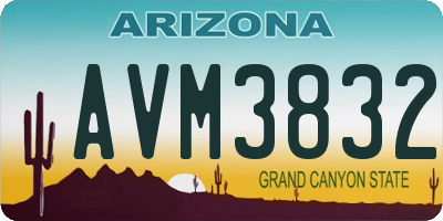 AZ license plate AVM3832