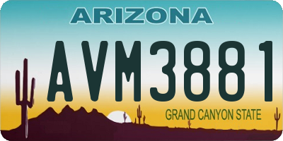 AZ license plate AVM3881