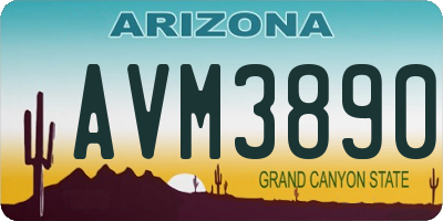 AZ license plate AVM3890