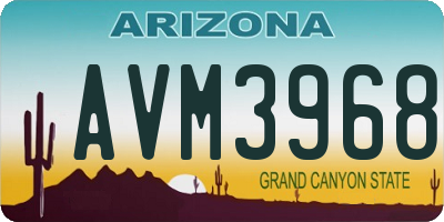 AZ license plate AVM3968