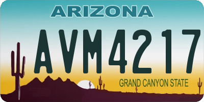 AZ license plate AVM4217