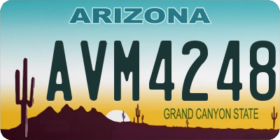 AZ license plate AVM4248