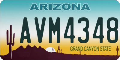 AZ license plate AVM4348