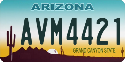AZ license plate AVM4421