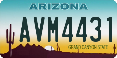 AZ license plate AVM4431
