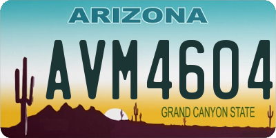 AZ license plate AVM4604
