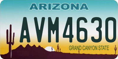 AZ license plate AVM4630