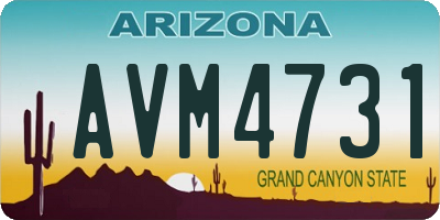 AZ license plate AVM4731