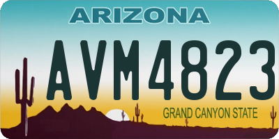 AZ license plate AVM4823