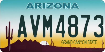 AZ license plate AVM4873