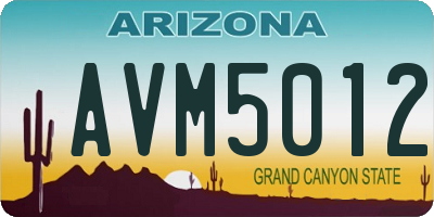 AZ license plate AVM5012
