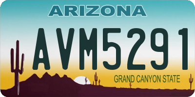 AZ license plate AVM5291