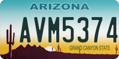 AZ license plate AVM5374