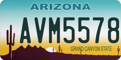 AZ license plate AVM5578