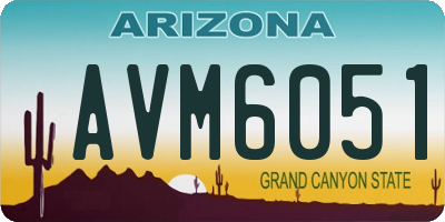 AZ license plate AVM6051