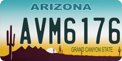 AZ license plate AVM6176