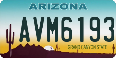 AZ license plate AVM6193