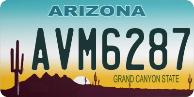AZ license plate AVM6287