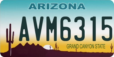 AZ license plate AVM6315