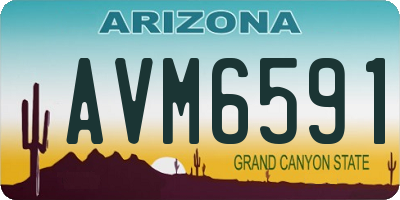 AZ license plate AVM6591