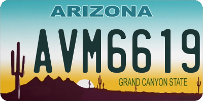AZ license plate AVM6619