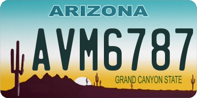 AZ license plate AVM6787
