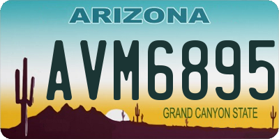 AZ license plate AVM6895