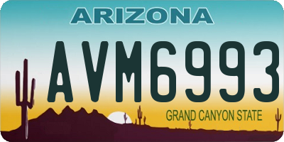 AZ license plate AVM6993