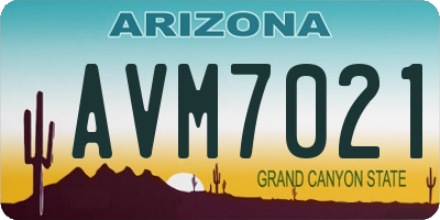 AZ license plate AVM7021