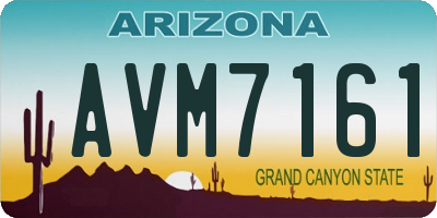 AZ license plate AVM7161