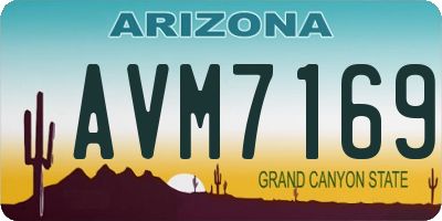 AZ license plate AVM7169