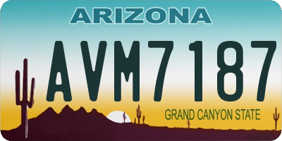 AZ license plate AVM7187