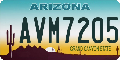 AZ license plate AVM7205