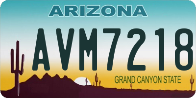 AZ license plate AVM7218
