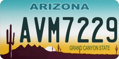 AZ license plate AVM7229