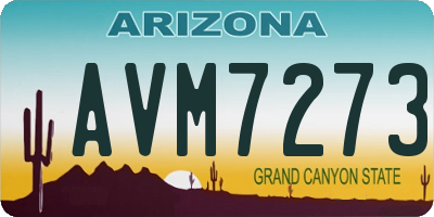 AZ license plate AVM7273