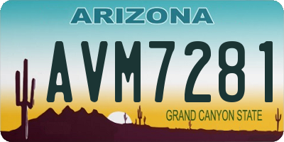 AZ license plate AVM7281