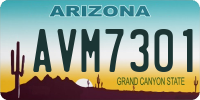 AZ license plate AVM7301
