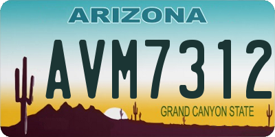 AZ license plate AVM7312