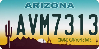 AZ license plate AVM7313