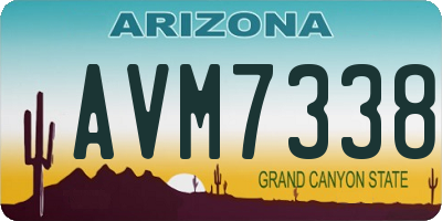 AZ license plate AVM7338