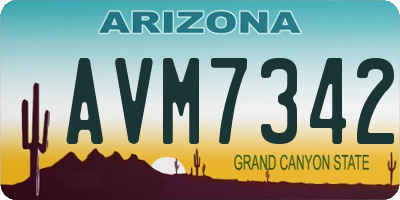 AZ license plate AVM7342