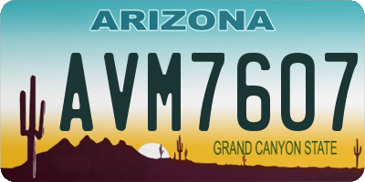 AZ license plate AVM7607