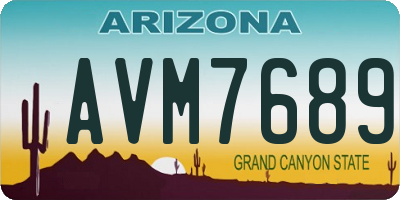 AZ license plate AVM7689