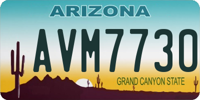 AZ license plate AVM7730