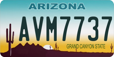 AZ license plate AVM7737
