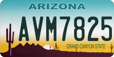 AZ license plate AVM7825