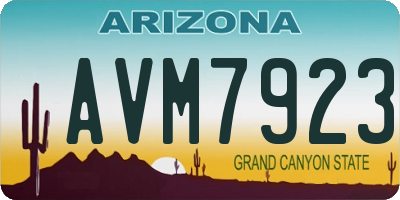 AZ license plate AVM7923